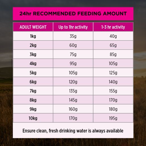 Purina Pro Plan Adult Small & Toy Breed Sensitive Skin & Stomach 2.5Kg